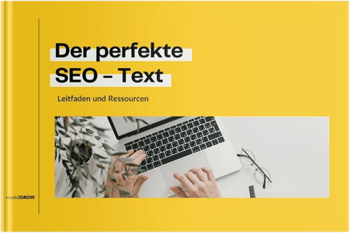 Der perfekte SEO Text Mockup