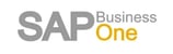 sap business one-1